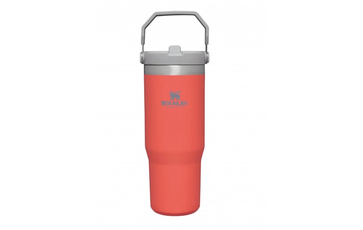 Stanley Classic Iceflow Flip Straw Tumbler