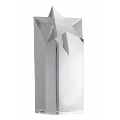 Crystal Star Award