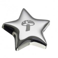 Star Fridge Magnet