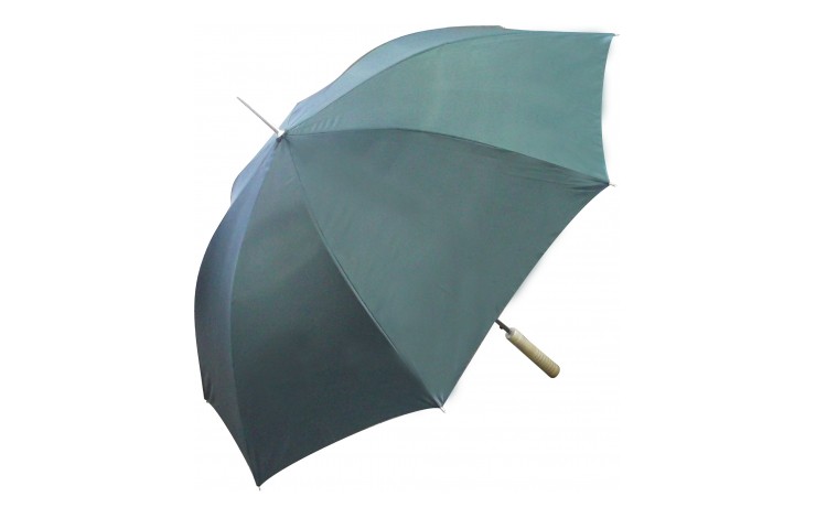 Super Budget Umbrella