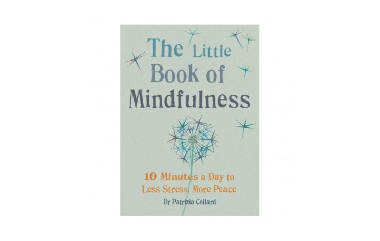 The Little Book of Mindfulness: 10 minutes a day to less stress, more peace