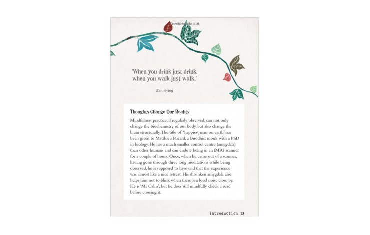 The Little Book of Mindfulness: 10 minutes a day to less stress, more peace