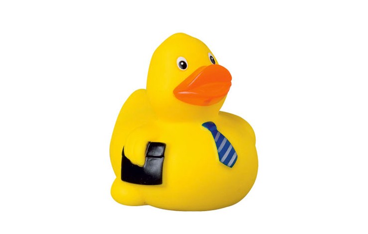 Themed Floating Ducks