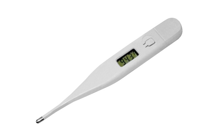Thermometer - Digital