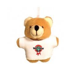 Titchy Bear with T shirt