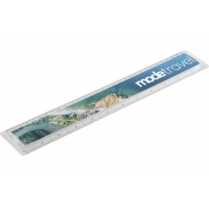 Transparent Clear 30cm Ruler