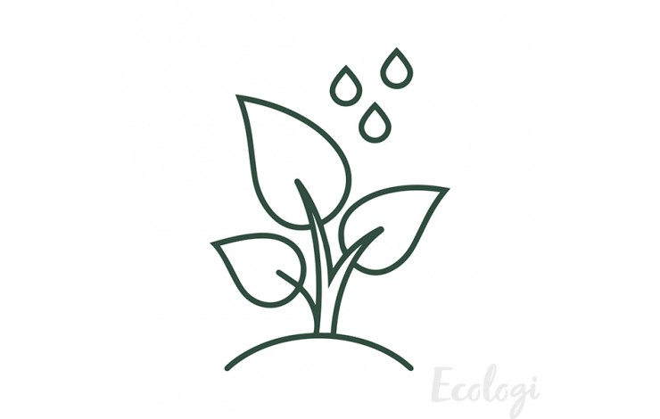 Tree Planting
