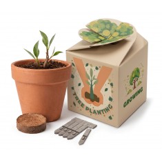 UK Flower Pot