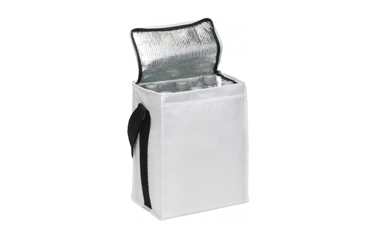 Wine Cooler Bag