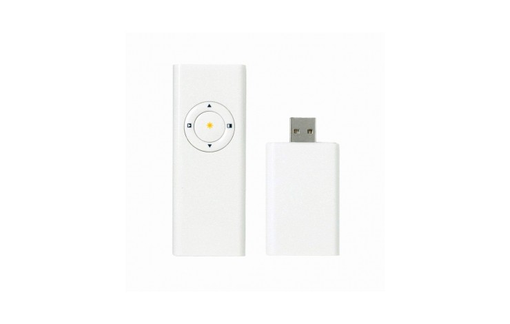 Wireless Presenter