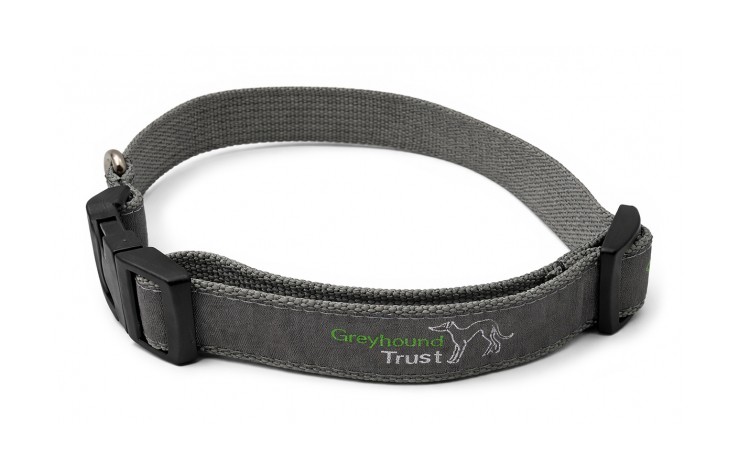 Woven Dog Collar