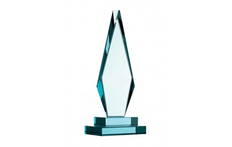 Excellence Award