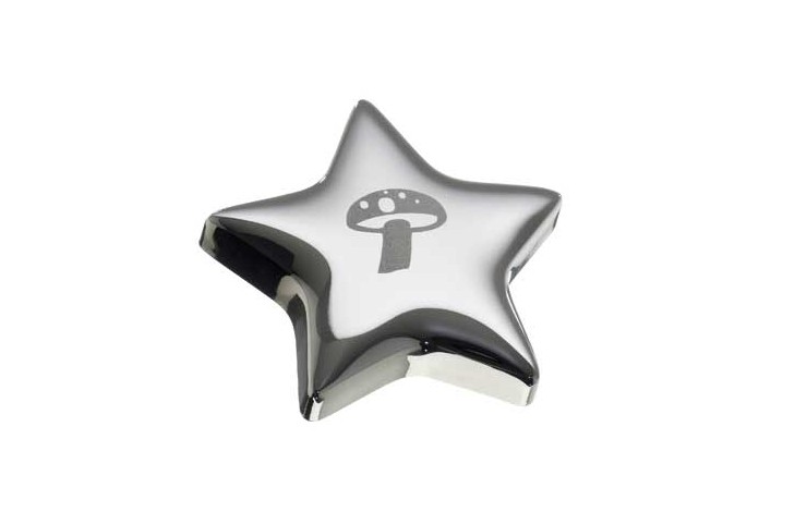 Star Fridge Magnet